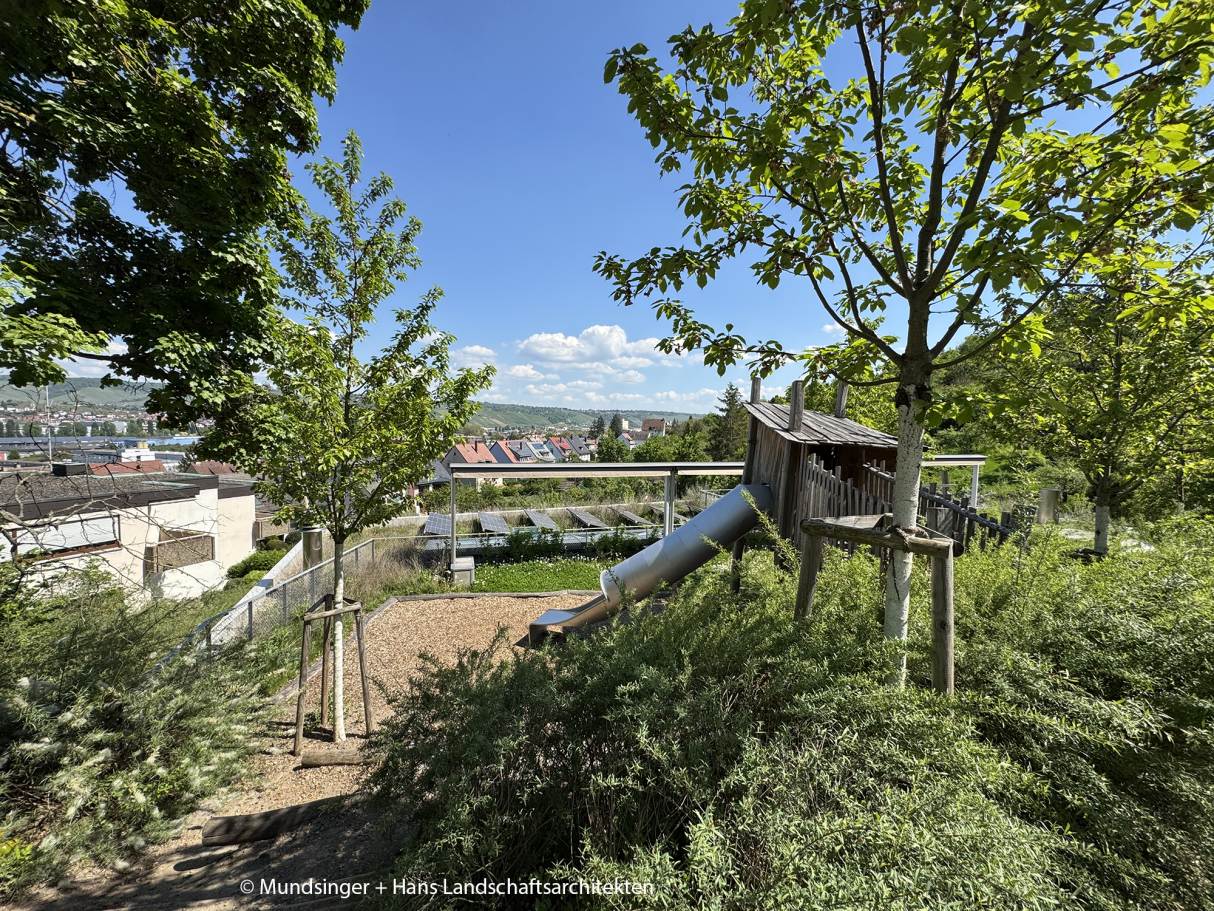 Spielplatz mit Rutsche, Bäumen und Blick auf Parkplätze im Hintergrund.
